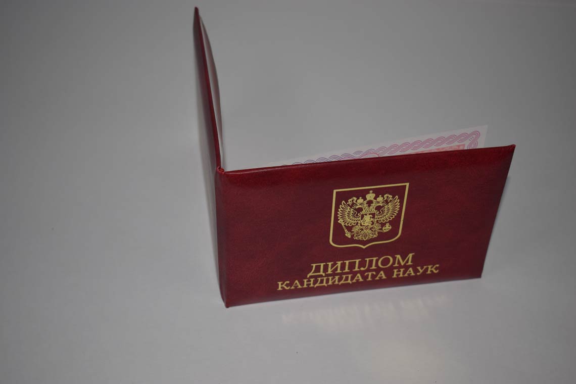 Диплом Кандидата Наук 2013-2016 в Великом Новгороде корка